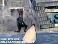 Killer Whales Don\ Killer Whales Don\
