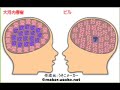 相棒のラムネこと大河内春樹の本当に相性がいい人を探すべく、脳内相性メーカーをやってみました。