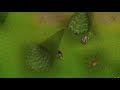My First 99 Skill ever, Runescape Woodcutting Cape + HD