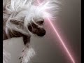 Thumbnail #3