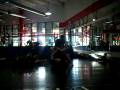 videos de david vs goliath jiu jitsu match