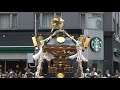 Click here to watch this video 浅草三社祭神輿1 ASAKUSA SANJYAMATSURI MIKOSHI
