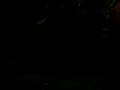 videos de PGO