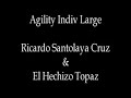 Championnats du monde Agility 2009 Ricardo Santolaya Cruz et El Hechizo Topaz Individuel Large