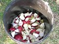 Fall Cider Pressing - Door County WI Travel Show