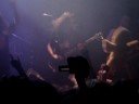 Ultra Vomit - Je collectionne des canards (vivants) Ultra Vomit - Je collectionne des canards (vivants)