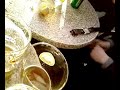 Trying to eat the E.G.G Trying to eat the E.G.G