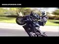 born-n-raisedMORE VIDEOS   WWW.STUNTERSCHOOL.COM