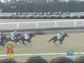 2009年1月18日 京都4R 障害未勝利 エイシンテンリュー