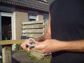 Review Cold Steel Kudu. Cutting, slashing, throwing and batoning.