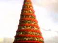 A BIG Christmas Tree!