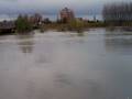 videos de Fiume Reno  1-12-08, ore 13.50.mp4