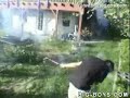 crazy   shit