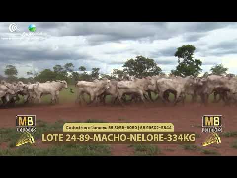 541� LEIL�O VIRTUAL MB LEIL�ES