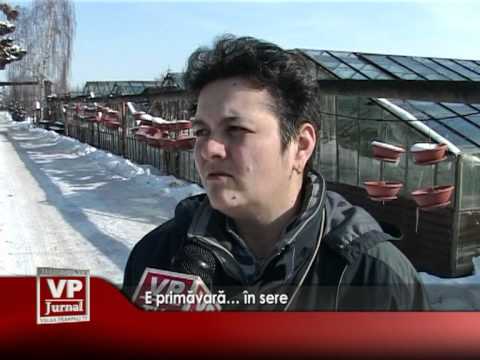 E primăvară… în sere