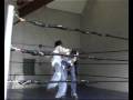 NCW Aries (New-Style Championship Wrestling)
