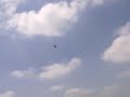 P51D???????? P51D????????