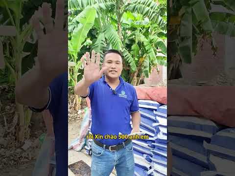 Giới thiệu công trình sử dụng 8 tấn vữa chống thấm Victory New - Cách để có ngôi nhà sử dụng 50 năm