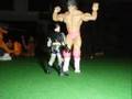 videos de pictureanimation- Rick Rude the not so great part 1