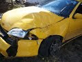 Hitting a Deer May Seriously Hurt You! Hitting a Deer May Seriously Hurt You!
