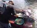 Environmental Benefits of Suction Dredging