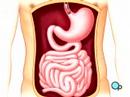 3d-medical-animation-upper-gi-endoscopy.html