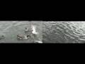 Voyez L'esprit (Film Studies Coursework Movie)