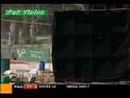 Watch Live Pakistan vs Zimbabwe Cricket Series 2008 on www.t