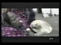 Ethiopian song by Tewodros G/egziabher Netsawet Behabar