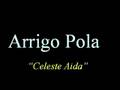 ARRIGO POLA - Celeste Aida