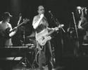 videos de NIQUE LIVE - Indifference Cover - Pearl Jam meets Pink Floyd
