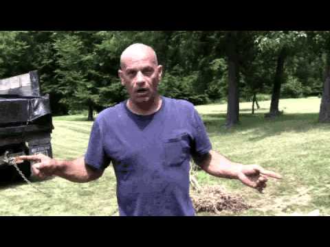 how to remove a tree