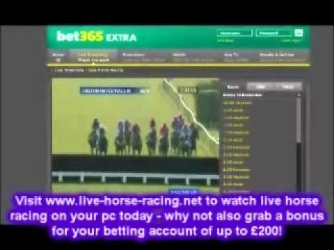 grand national results