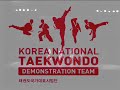 Taekwondo Video 4