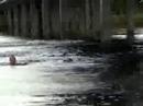 Bridge Jumping Bridge Jumping