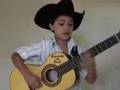 Nois é jeca, mais nois é joia - Bruninho da Viola