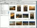 Batch Keywording with Image Info Toolkit, Photoshop & iView