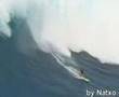 La ola surfeada mas grande del mundo.