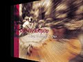 MARIA CRISTINA arranged by Harris Pelonis (solo guitar with percussions)
