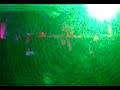 1200 Mics & Raja Ram live@Skarabaeus 23-08-03.mpg