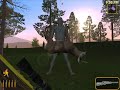 Son Of A Gun
