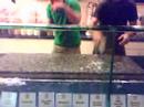 Clean Up! Marble Slab Ice Scrape!!