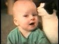 CRASY CATS CRASY CATS