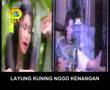 layung kuning... aas rolani