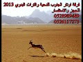 دحيه بدويه ريم الفلا 2013فرقة اوتار الجنوب