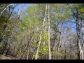 Adhan en forêt