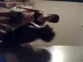 el perreO sheeri and weeNNiikis (LL)!!