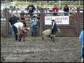 Price Mutton Bustin - Bull Shoot Out 2008