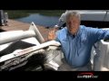 Bayliner 249 - by BoatTest.com