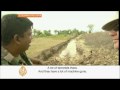 Sri Lanka army closes in on Tamil Tigers - 07 Oct 08